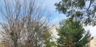 S-depârtă di bană di cauza virusului, profesor Spiro Panariti