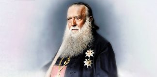 Andrei Șaguna, Mitropolitul ortodox al Transilvaniei