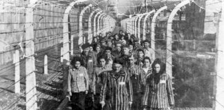 27 ianuarie Ziua Internațională a comemorării victimelor Holocaustului