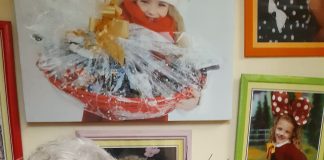 O primăvară senină tuturor!