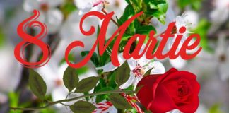 8 martie, Ziua Internațională a Femeii