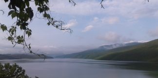 DRP susține campania „Sprijin pentru instalarea tinerilor fermieri”!