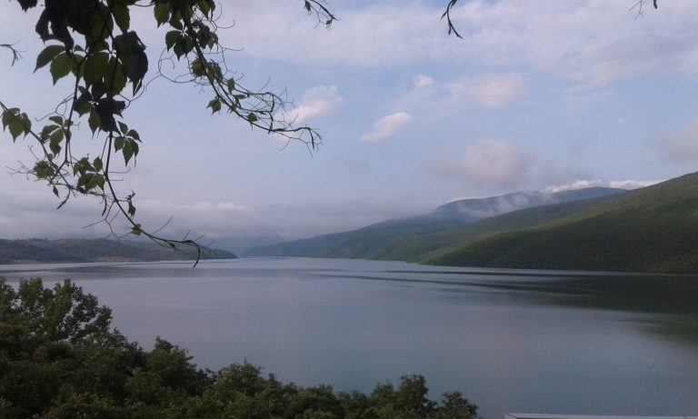 DRP susține campania „Sprijin pentru instalarea tinerilor fermieri”!