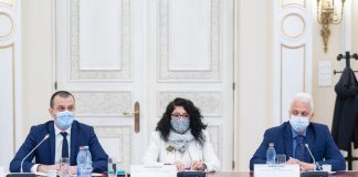 Secretarul de stat Oana Ursache a participat la întrunirea Comisiei pentru Românii de Pretutindeni din Senatul României