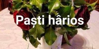 Haristolu anyiâ!