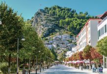 România a actualizat clasificarea țărilor în funcție de rata de incidență, Albania în zona verde