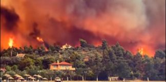Solidaritate europeană împotriva incendiilor forestiere
