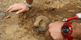 Descoperire arheologică la Mirdita, se găsește un vas ceramic