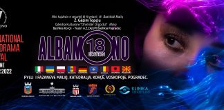 România reprezentată de către Teatrul “Godot” din Bucureşti la Festivalul “Albamono”
