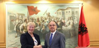 Prezentarea scrisorilor de acreditare de către doamna ambasador Christiane Hohmann