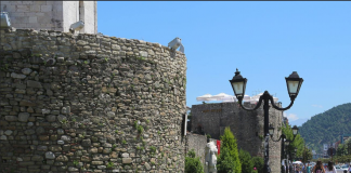 Să lucrăm ta-su recunoaștem, păstrâm și dezvoltăm aromâna frumoasă