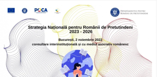 DRP consultări pentru elaborarea noii Strategii Naționale pentru Românii de Pretutindeni