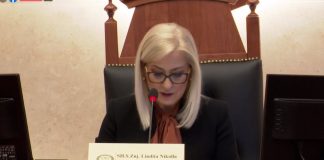 18 decembrie, Ziua Națională a Diasporei și a Imigranților