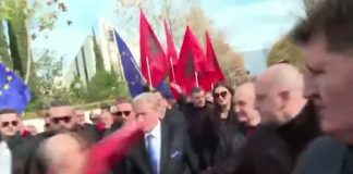 Incident la protest, fostul premier Berisha este atacat fizic