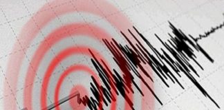 Un cutremur cu magnitudinea 4,7 s-a produs în Albania
