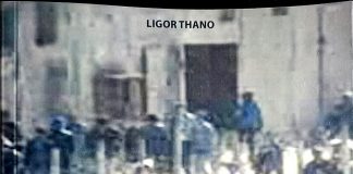 NIAGĂRIȘITA romanu pi dau limbi: armãneaști, arbiniseaști