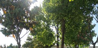 21 mai, Ziua Mondială a Diversității Culturale pentru Dialog și Dezvoltare