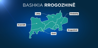 Colegiul Electoral respinge rezultatul, se repetă alegerile pentru Municipiul Rrogojina