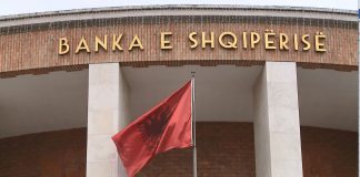Potrivit Băncii Albaniei a crescut moneda europeană euro
