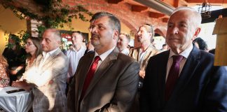 Ambasadorul UE la Tirana E.S. Christiane Hohmann: Sărbătorim parteneriatul puternic dintre UE și Albania