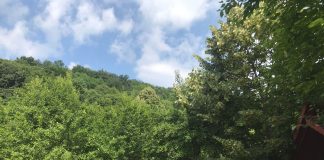 Elevii și tinerii din Albania au început programul de Tabere ARC 2023