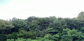 La Botoșani are loc festivitatea de închidere a Taberelor „ARC” 2023