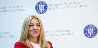 Cristina-Lavinia Arnăutu, Director cu atribuții de secretar de stat al Departamentului pentru Românii de Pretutindeni