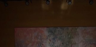 Recital extraordinar de pian susţinut de pianista Patricia Roșca la Tirana