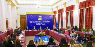 Participarea reprezentantei Fundației „H.M” la ședința Consiliului Național pentru Integrare Europeană