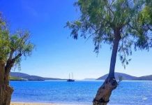 Enea Kereci, administratorul agenției de turism “România Travel”: Tot mai mulți turiști români aleg Albania ca destinație de vacanță