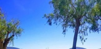 Enea Kereci, administratorul agenției de turism “România Travel”: Tot mai mulți turiști români aleg Albania ca destinație de vacanță