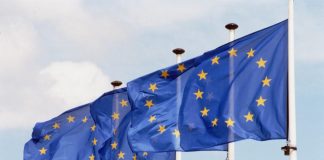 Uniunea Europeană a finanțat 19 filme selectate la Cannes 2026, inclusiv „Fjord” de Cristian Mungiu, câștigătorul trofeului Palme d’Or