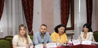 Participarea reprezentantei Fundației „H.M” la ședința Consiliului Național pentru Integrare Europeană